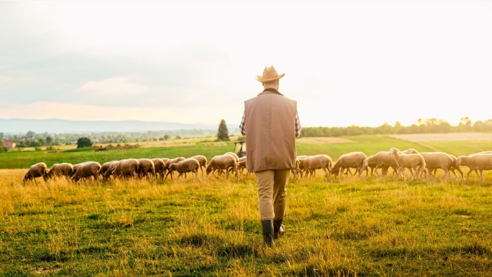 image for Zorg voor laarzen, drones en herders! image