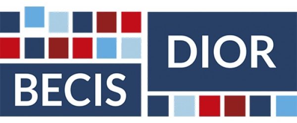 BECIS DIOR vierkant[39]